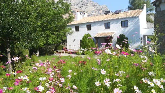 Cortijo Saludá Alta