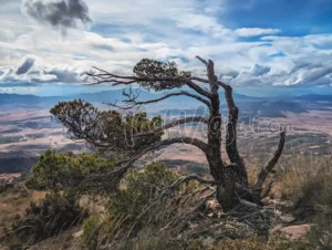 Parque Regional Sierra del Carche