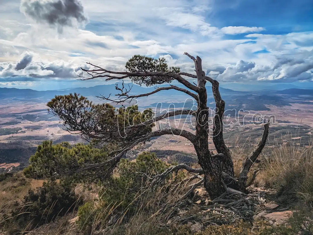 Parque Regional Sierra del Carche